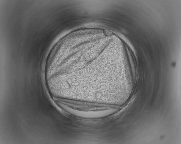 X0000116631437201001081243