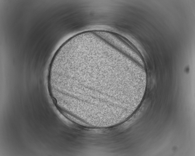 X0000116631438201001081243