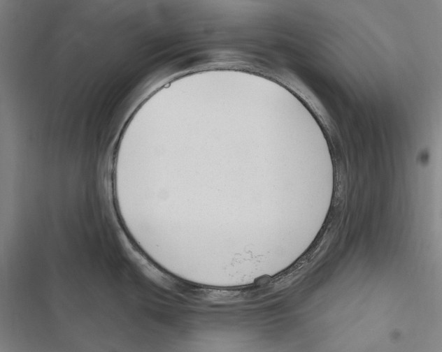 X0000116631439201001081243