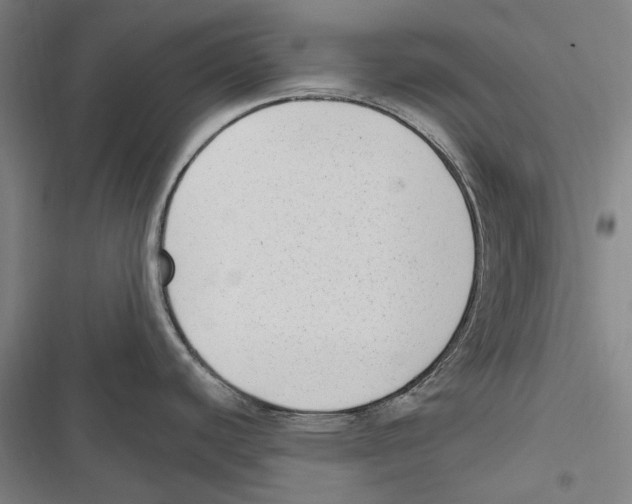 X0000116631440201001081243