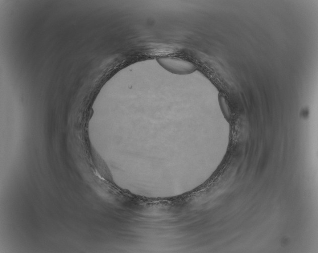 X0000116631441201001081243