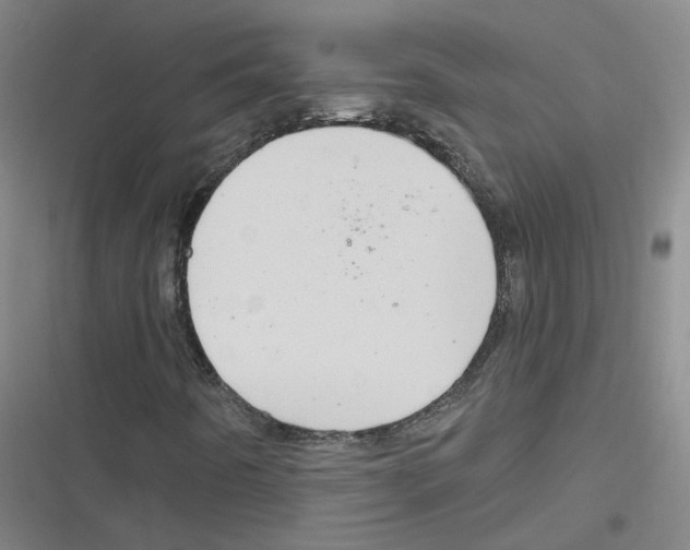 X0000116631442201001081243