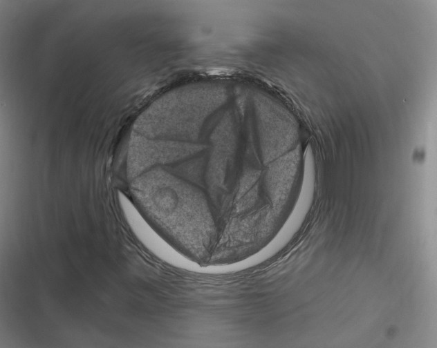X0000116631443201001081243
