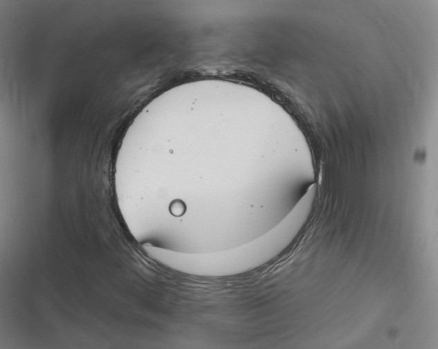 X0000116631444201001081243
