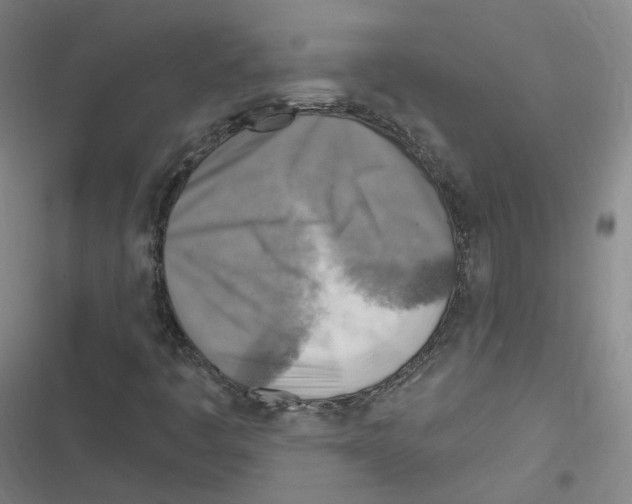 X0000116631445201001081243