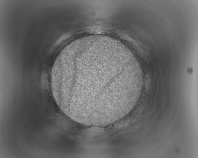 X0000116631446201001081243