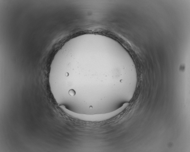 X0000116631447201001081243