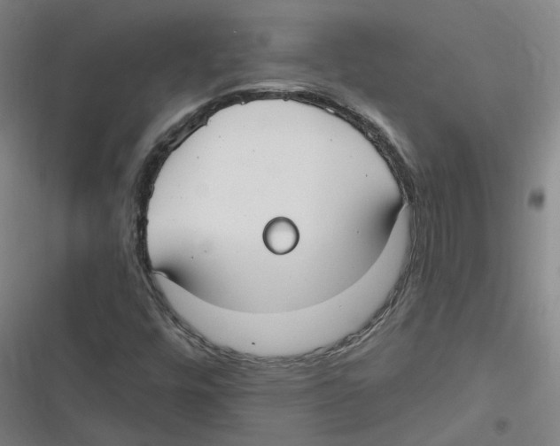 X0000116631448201001081242