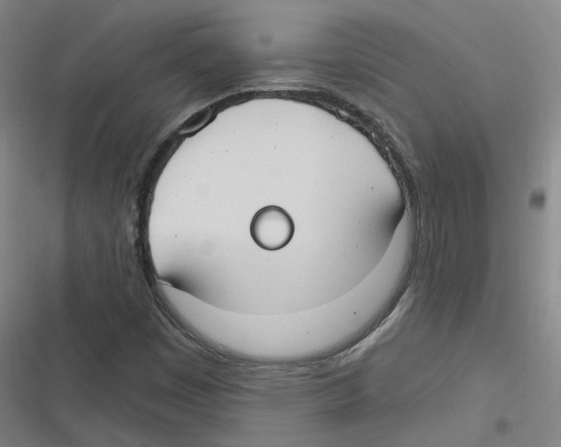 X0000116631449201001081242