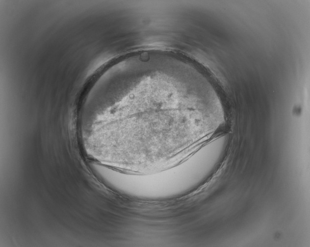 X0000116631450201001081242