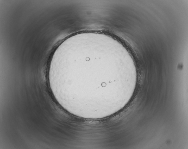 X0000116631451201001081242