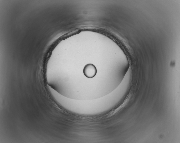 X0000116631453201001081242