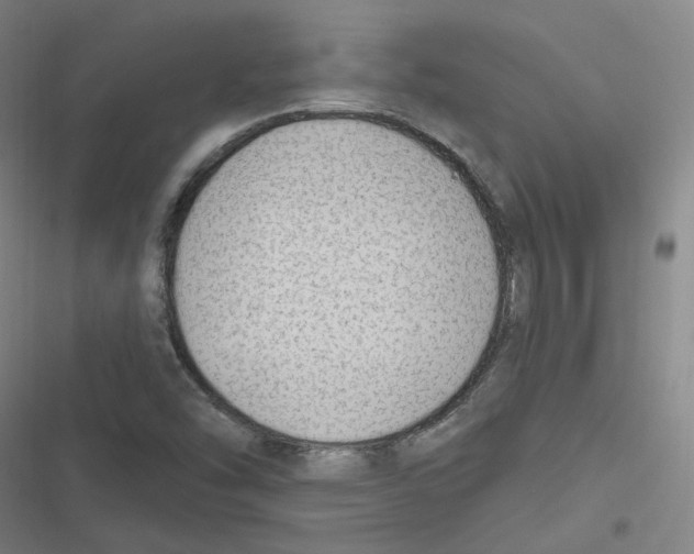 X0000116631454201001081242