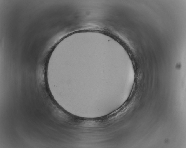 X0000116631455201001081242