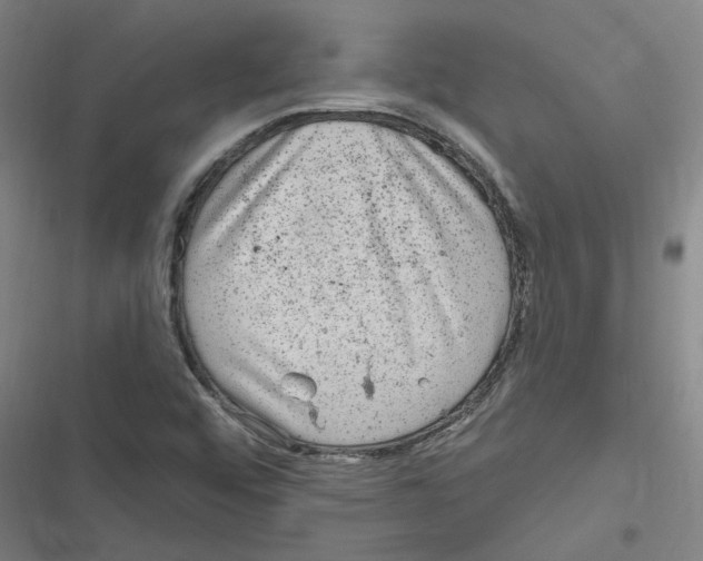 X0000116631456201001081242