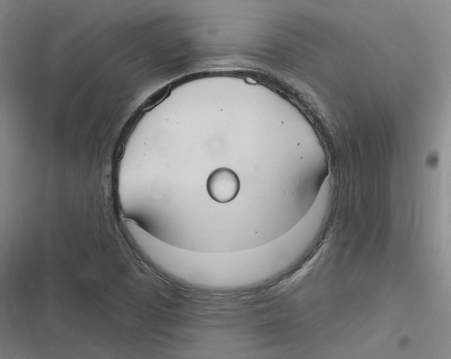 X0000116631457201001081242