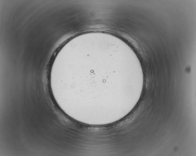 X0000116631458201001081242