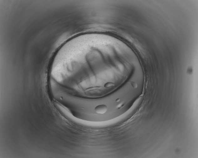 X0000116631459201001081242