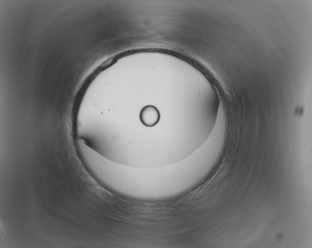X0000116631460201001081242