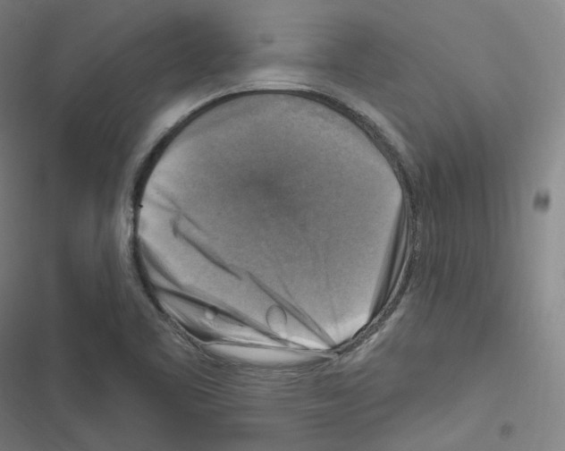 X0000116631461201001081242