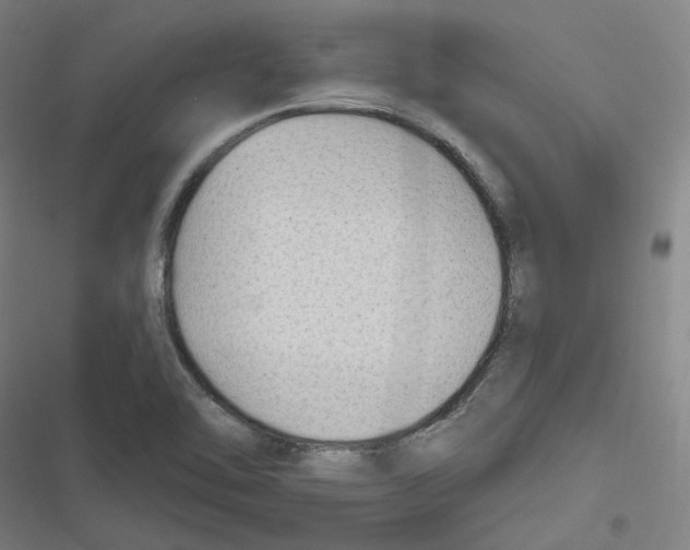 X0000116631462201001081242