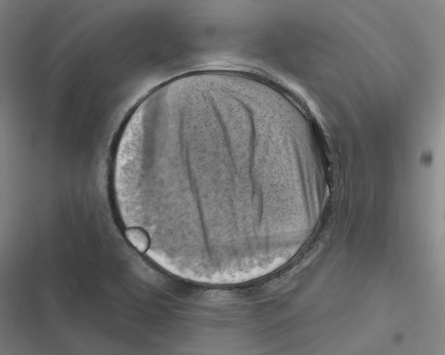 X0000116631463201001081242