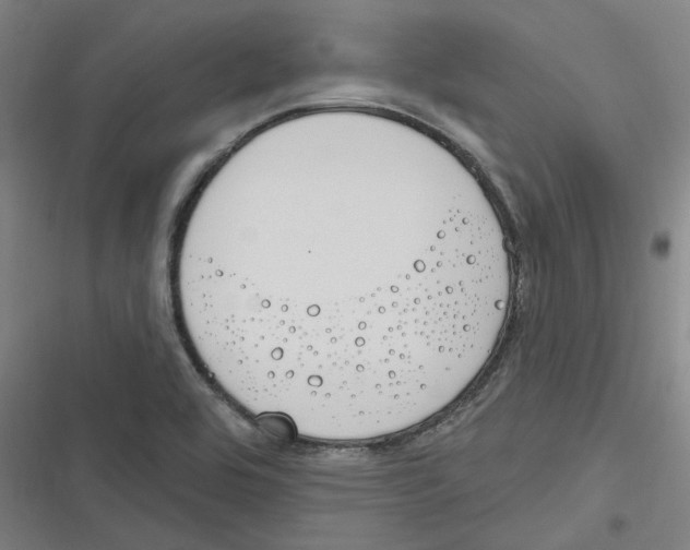 X0000116631464201001081242