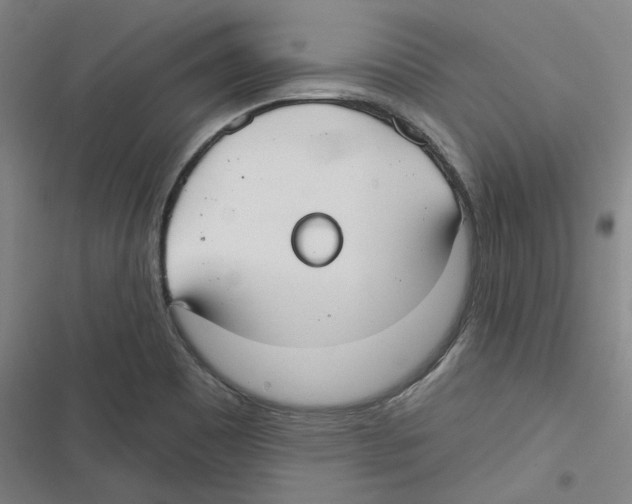 X0000116631465201001081242