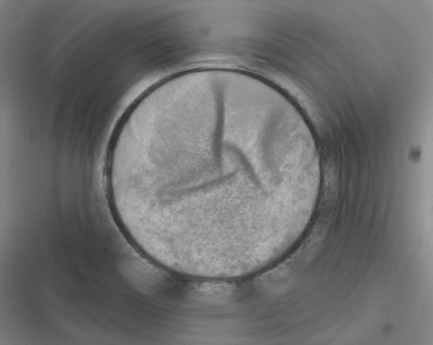 X0000116631466201001081242