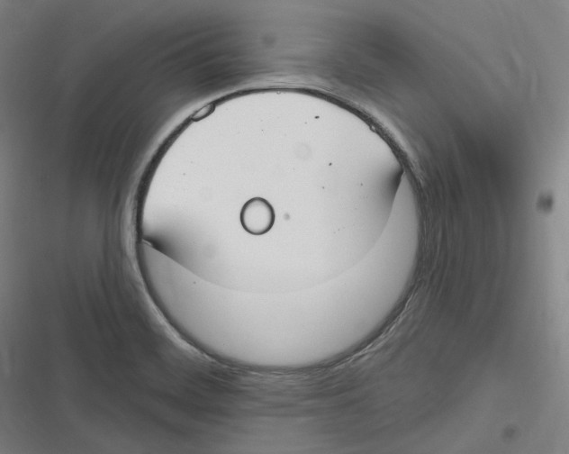 X0000116631468201001081242