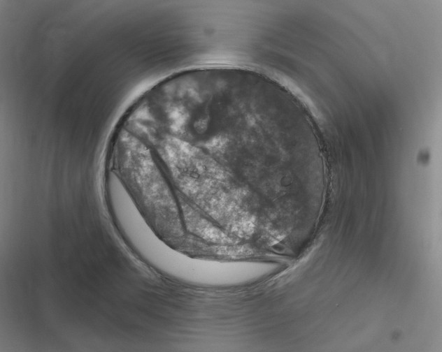 X0000116631469201001081242