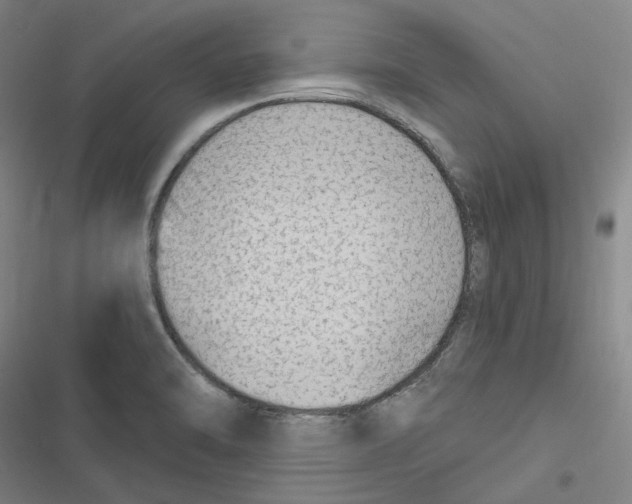 X0000116631470201001081242