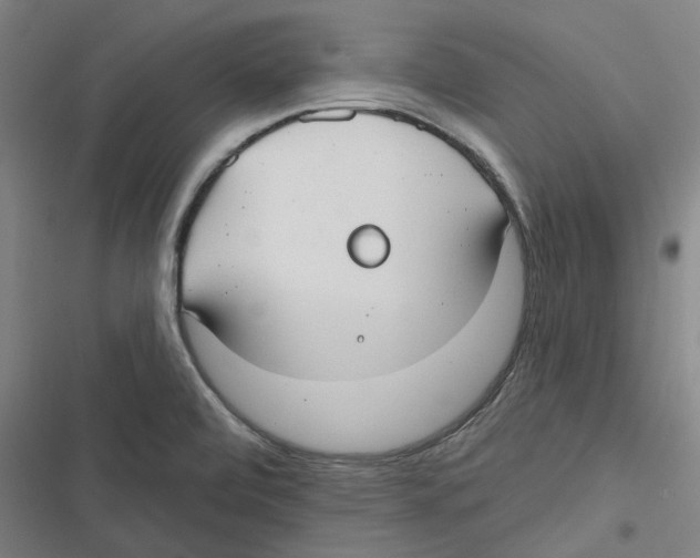 X0000116631472201001081242