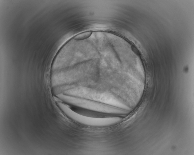 X0000116631473201001081242