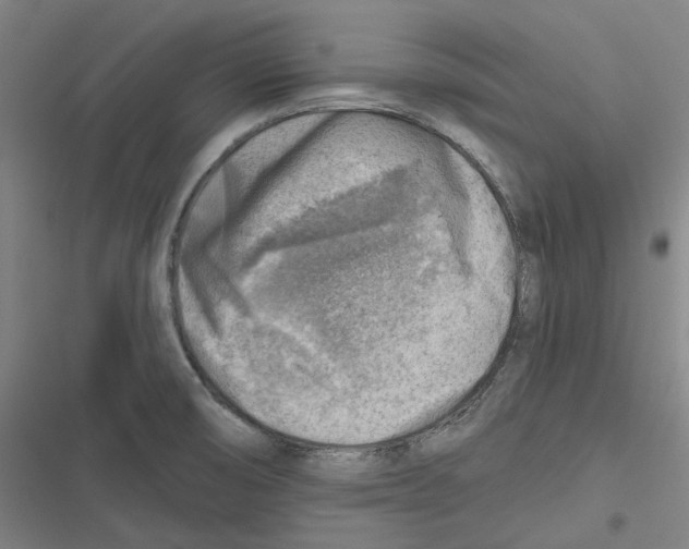 X0000116631474201001081242