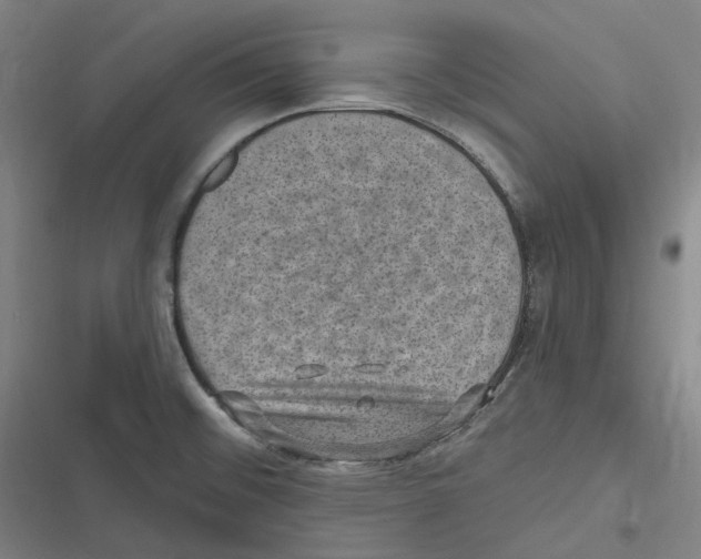 X0000116631476201001081242