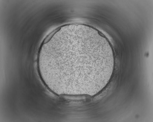 X0000116631477201001081242