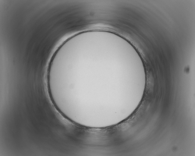 X0000116631478201001081242