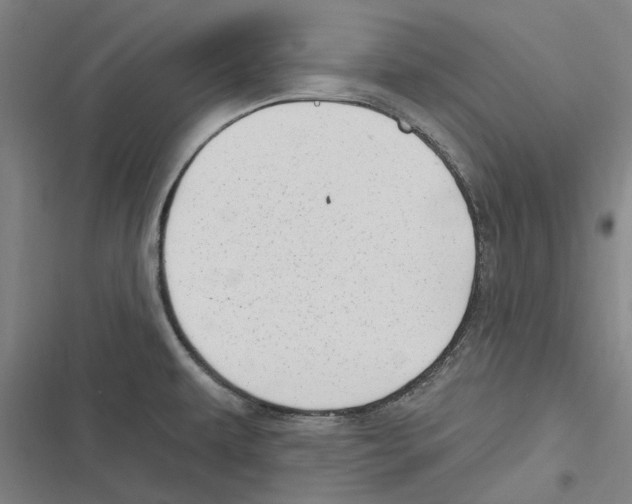 X0000116631479201001081242