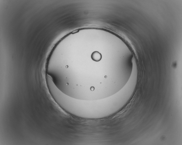X0000116631480201001081242