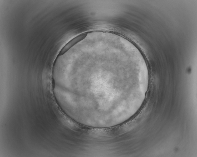 X0000116631481201001081242