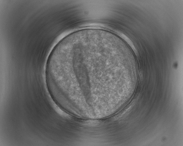 X0000116631482201001081242