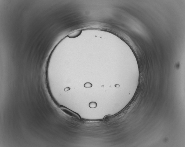 X0000116631483201001081242
