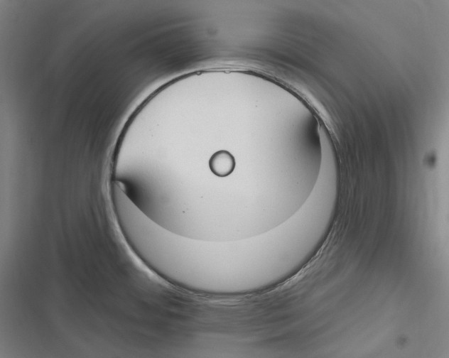 X0000116631484201001081242