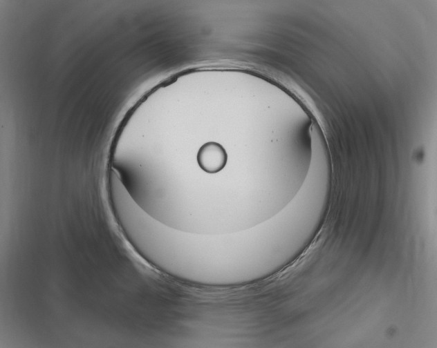X0000116631485201001081242