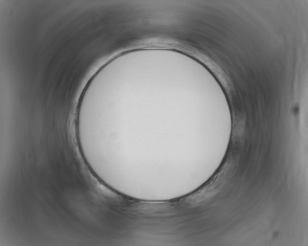 X0000116631486201001081242