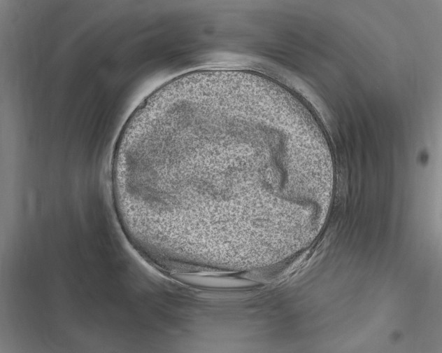 X0000116631487201001081242