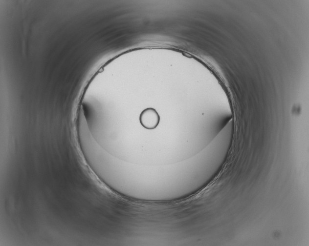 X0000116631488201001081242