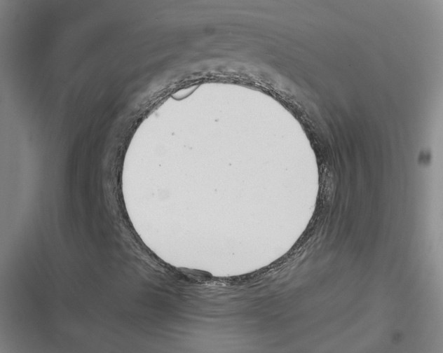 X0000116631489201001081241