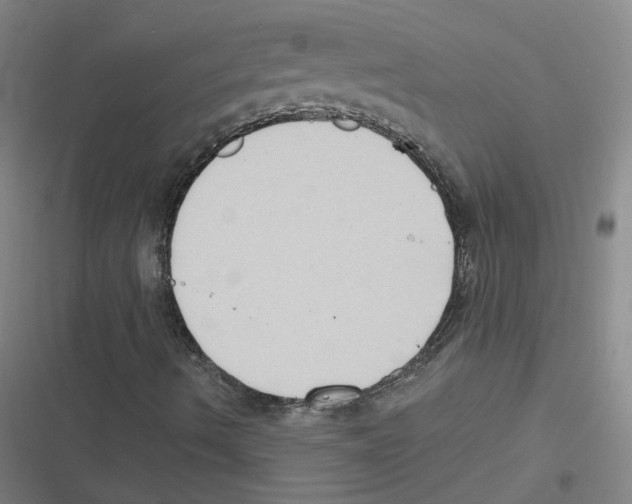 X0000116631490201001081241